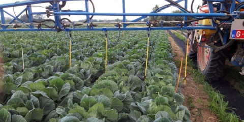 IPM techniek