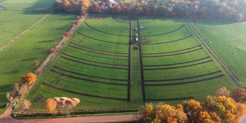 agroforestry
