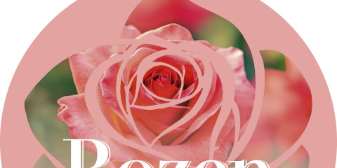 Rozenfeest 2025