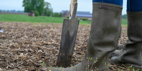 Landbouwer met spade in bodem