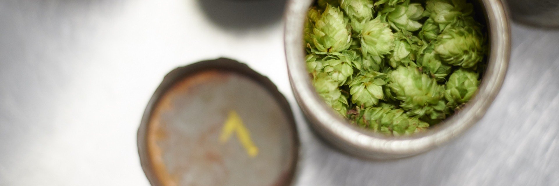 Teeltopvolging - hop labo