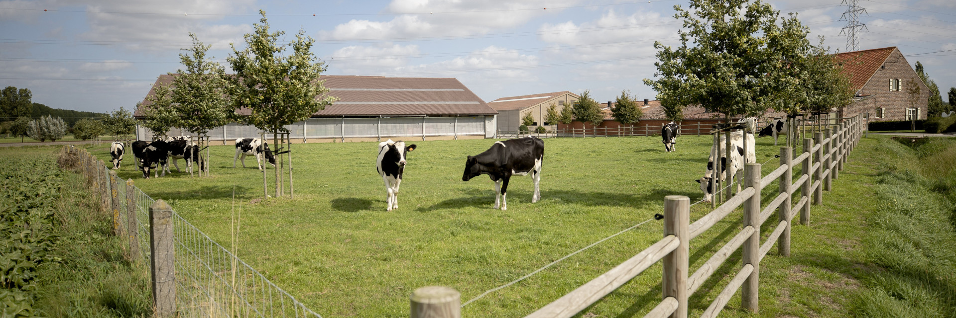 landschappelijke integratie 7