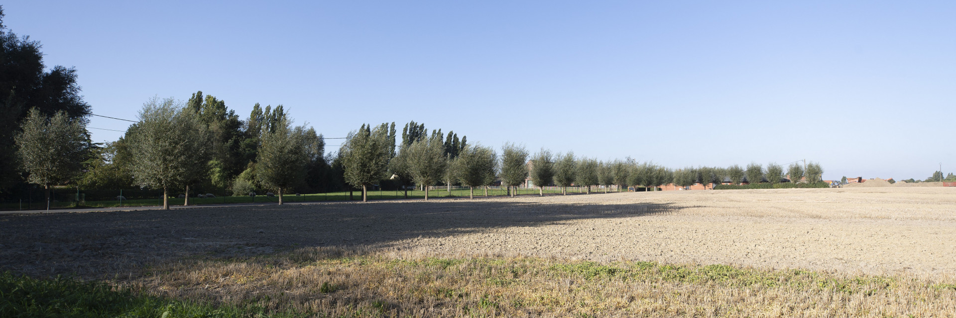 landschappelijke integratie met knotbomen