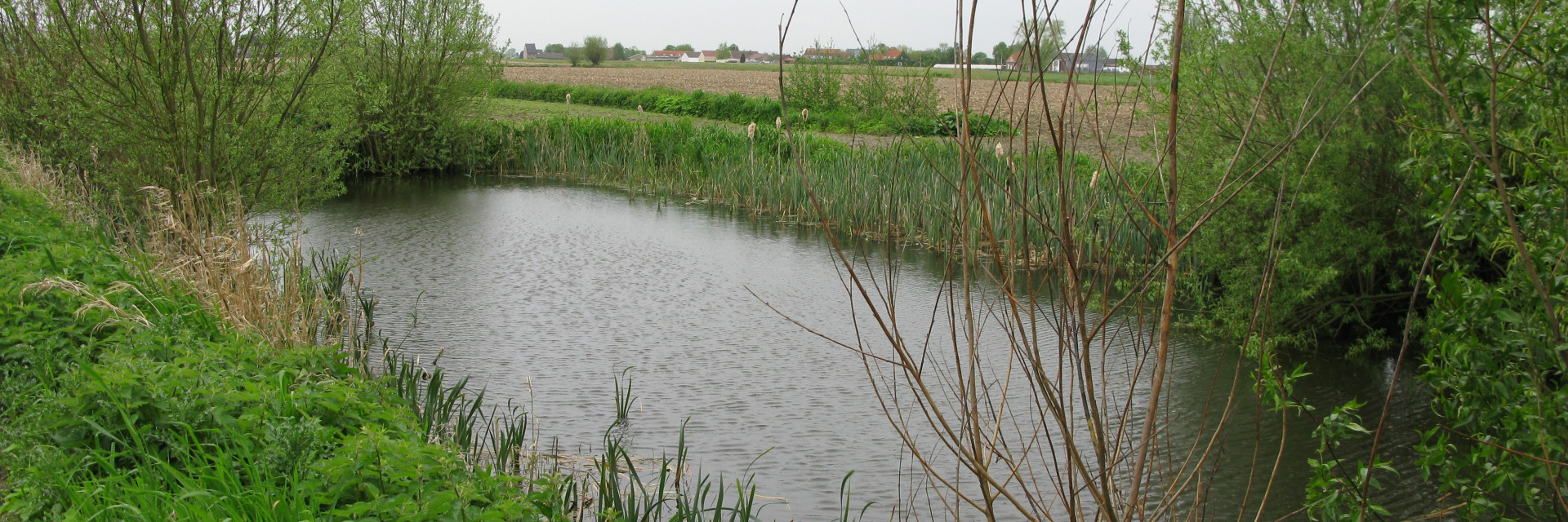 Afbeelding van een open waterput