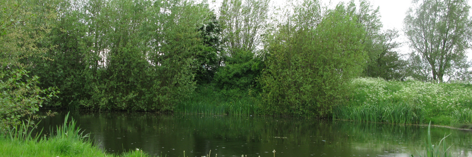 Waterput in natuurlijke omgeving