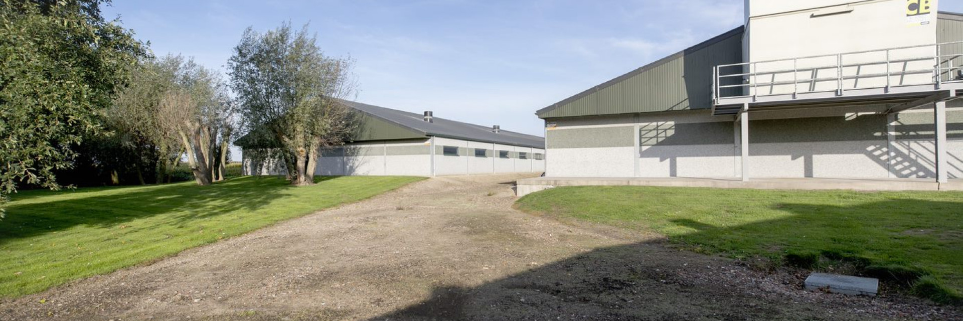 bedrijfsontwikkeling4.jpg
