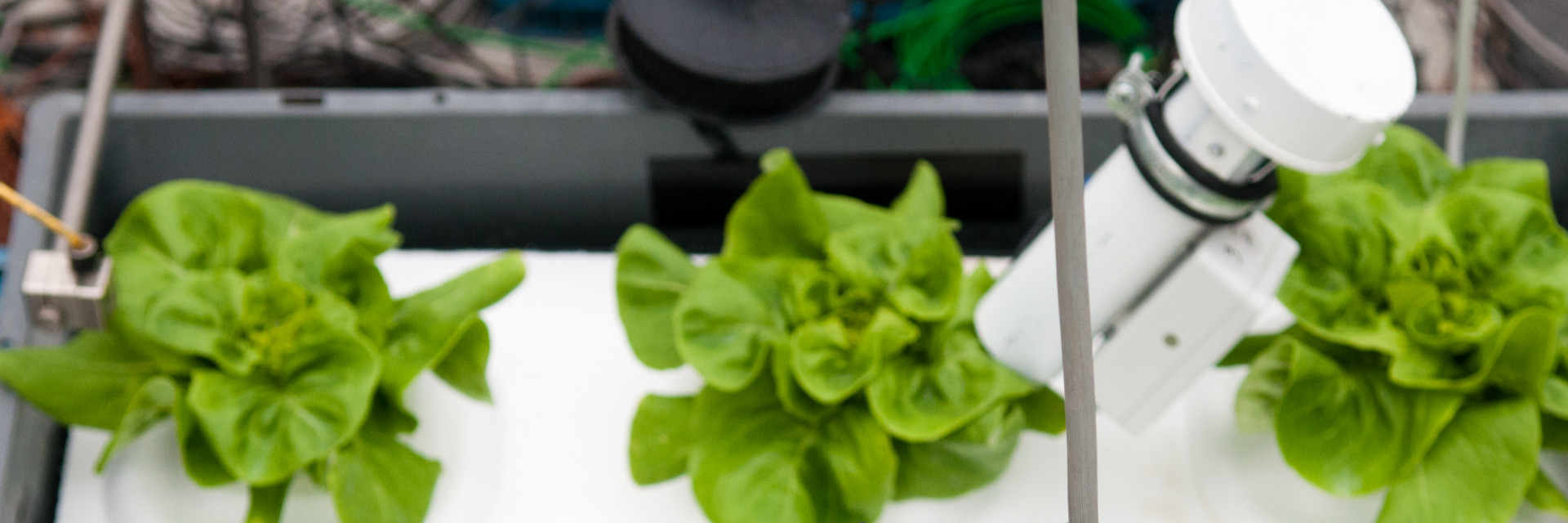 Onderzoek sla Agrotopia