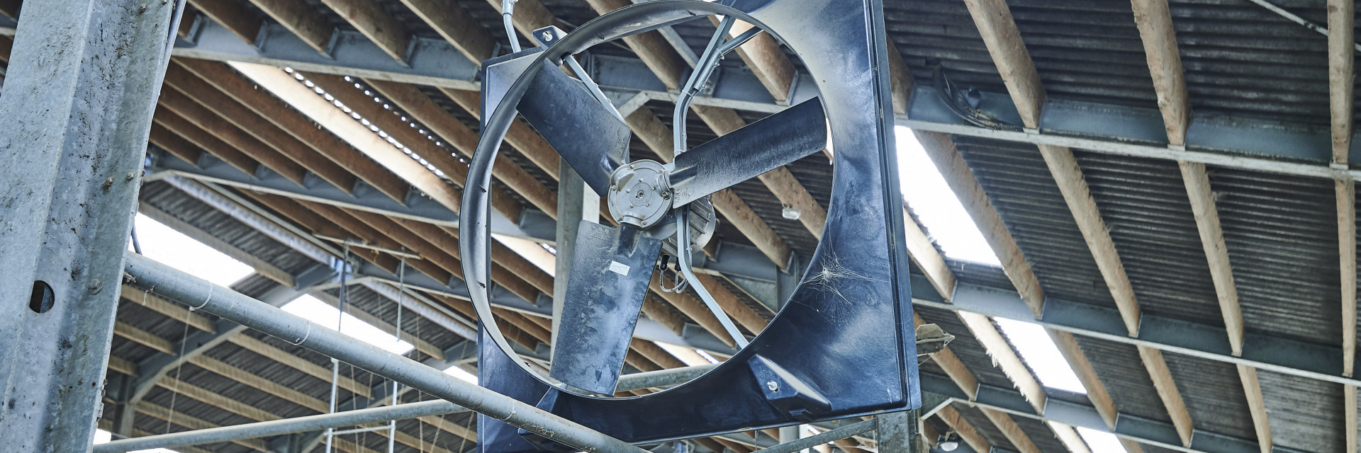 ventilatie melkveestal