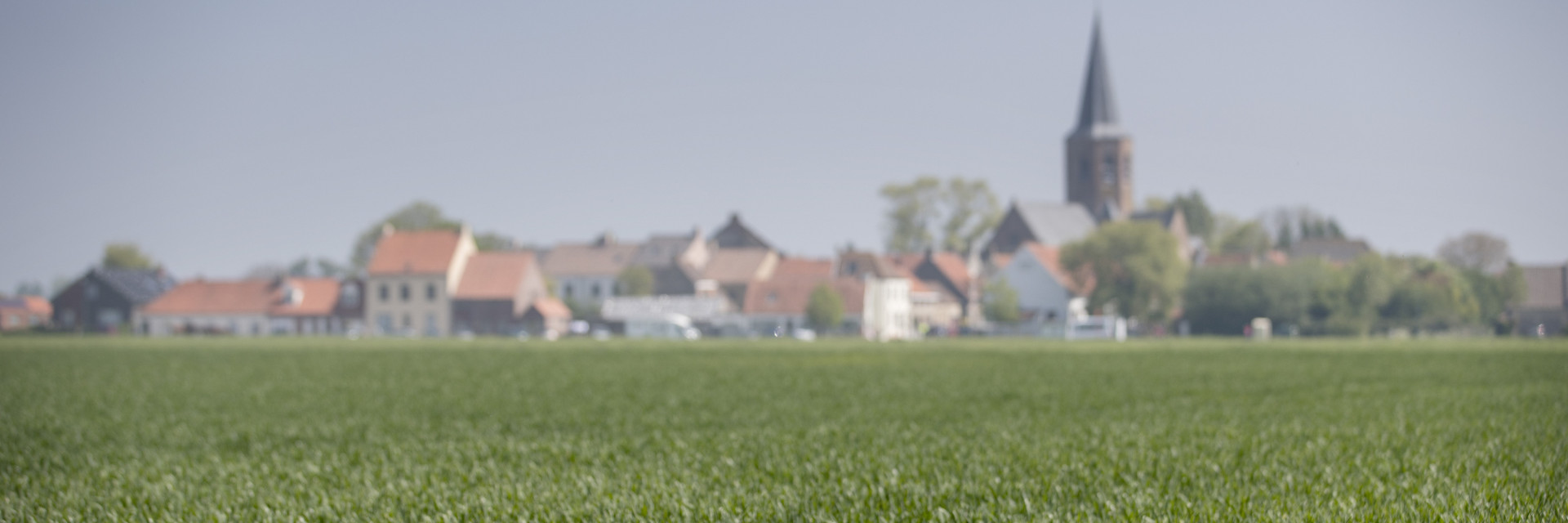 Sfeerbeeld landbouw west-vlaanderen