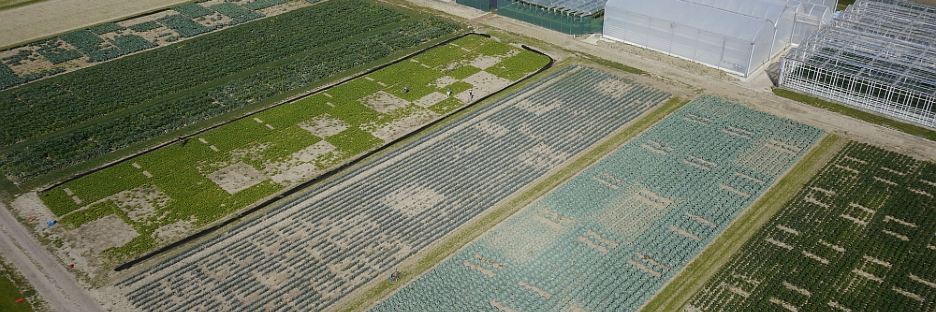 luchtbeeld proefvelden Inagro