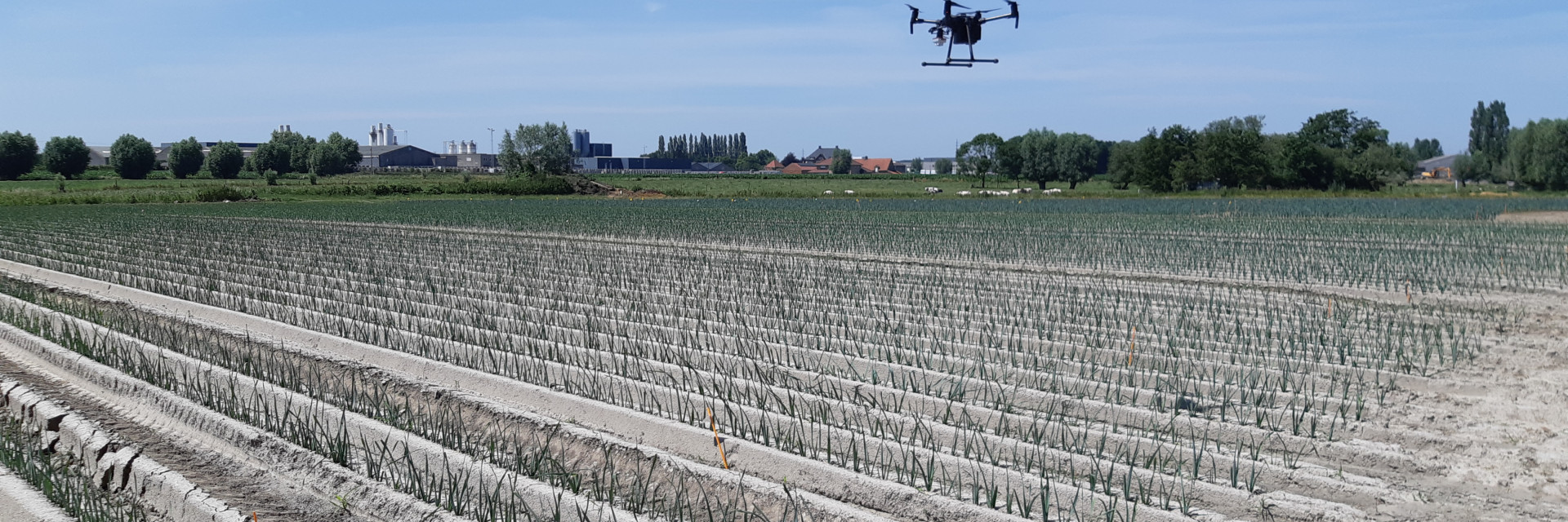 drone_prei_veld
