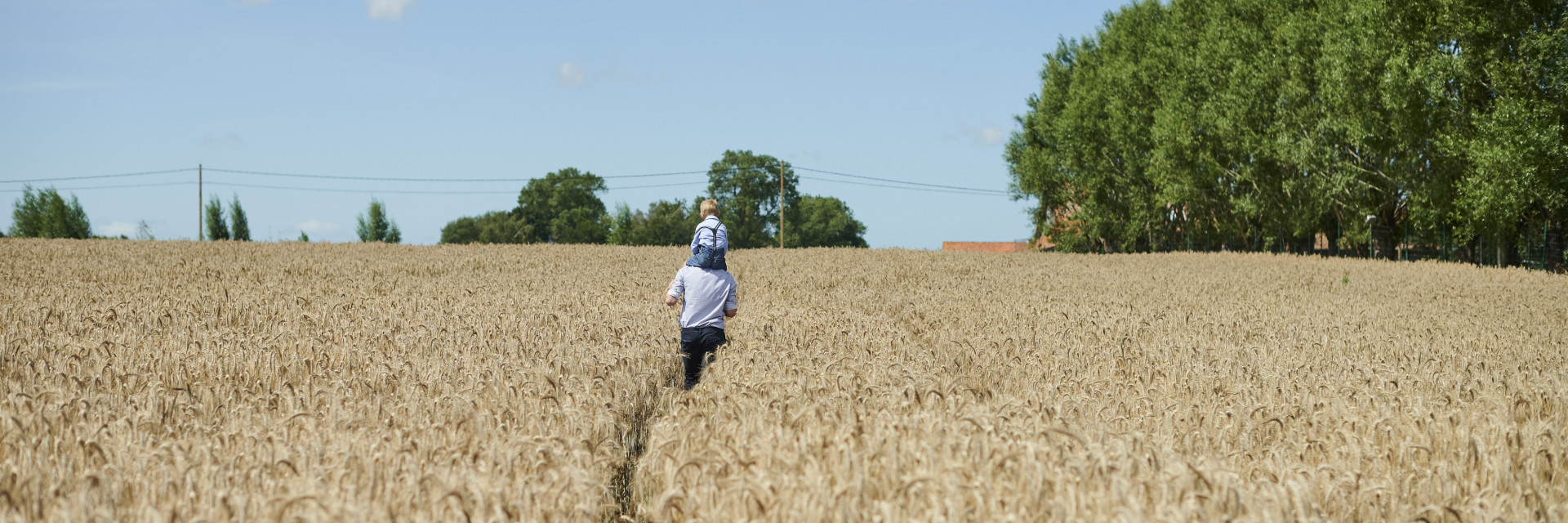 Sfeerbeeld landbouwverbreding