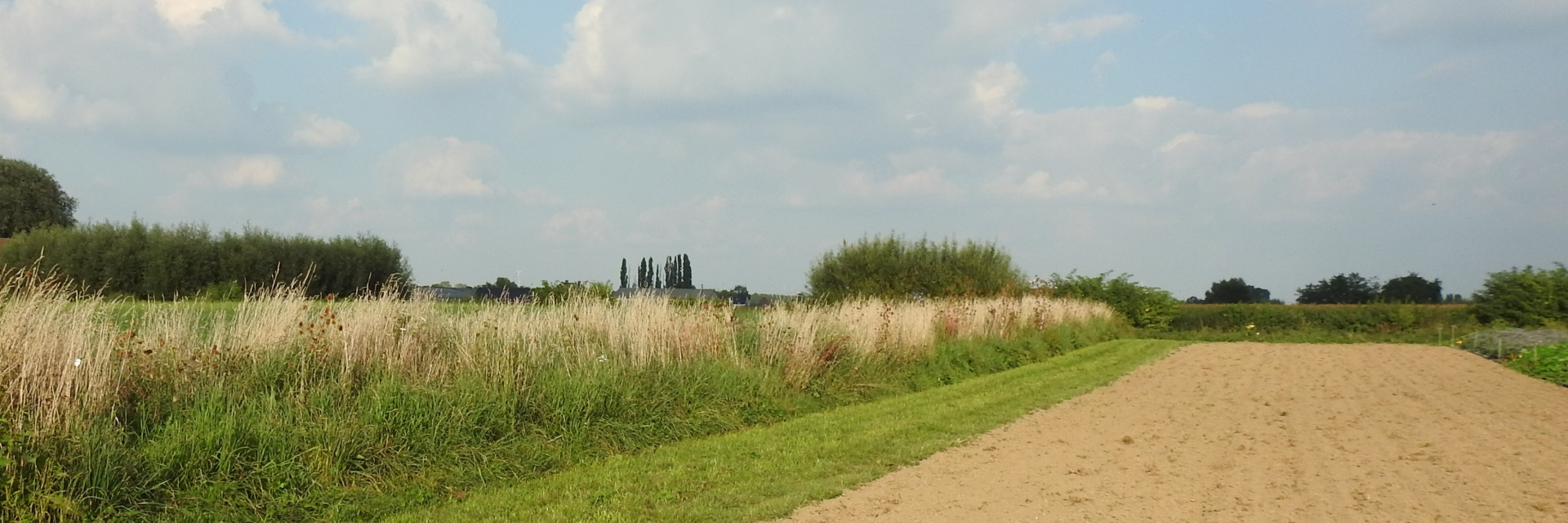 Keverbank op het demoperceel agronatuur