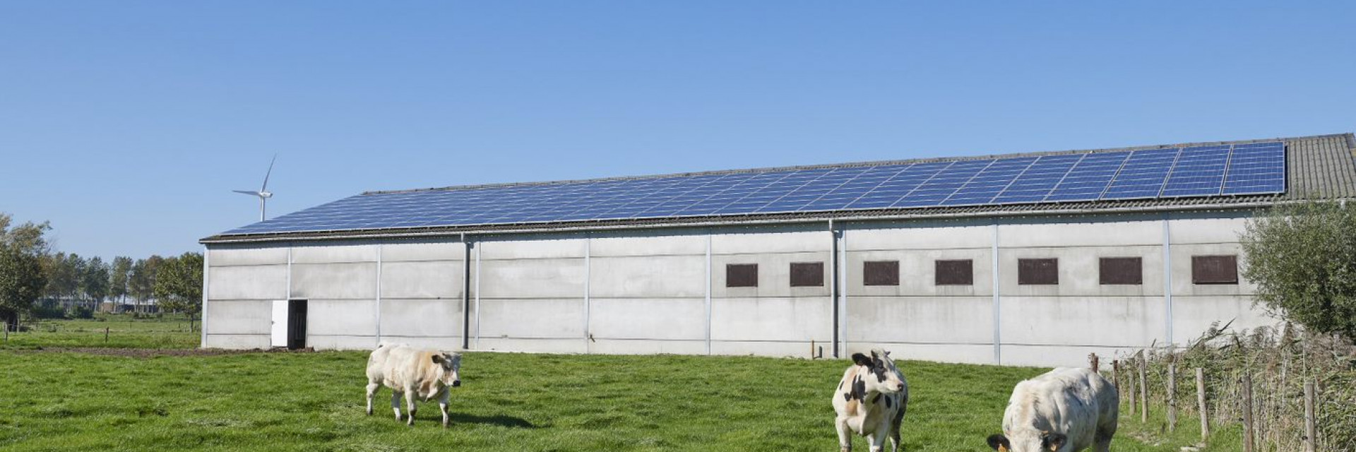 Zonnepanelen