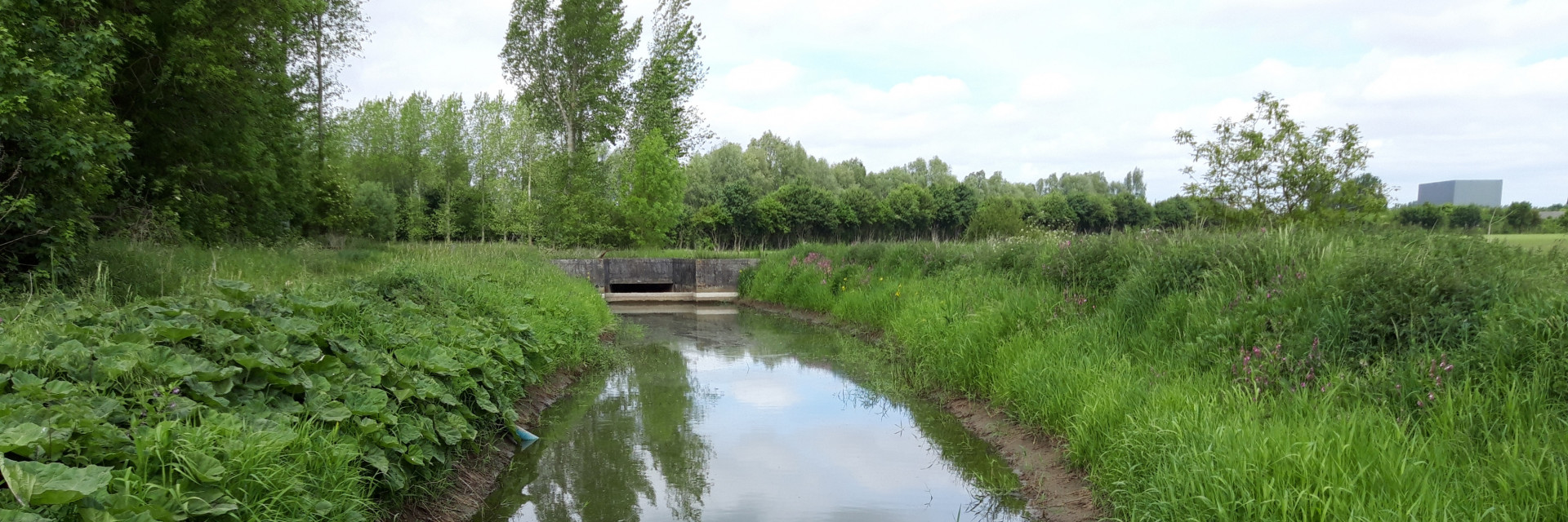 Milieubeoordeling bollaertbeek