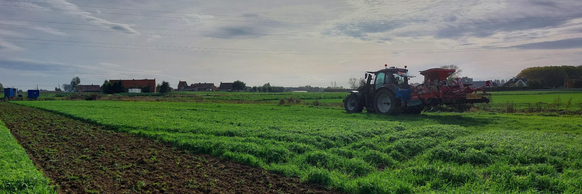 Inzaai van de boomstrook op het Inagro agroforestry perceel