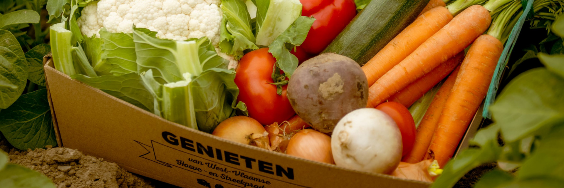 Themabeeld groenten 100 procent