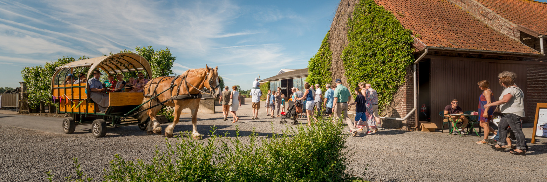 Sfeerbeeld opendeur boerderij