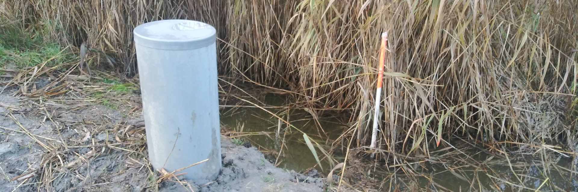 peilgestuurde drainage