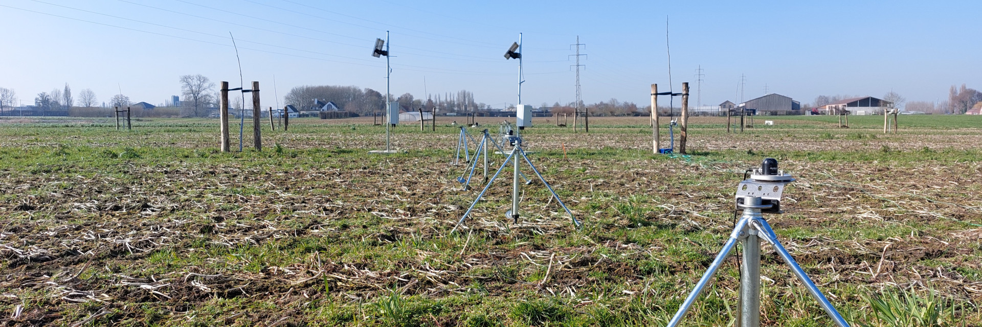 Lichtsensoren op het agroforestryperceel