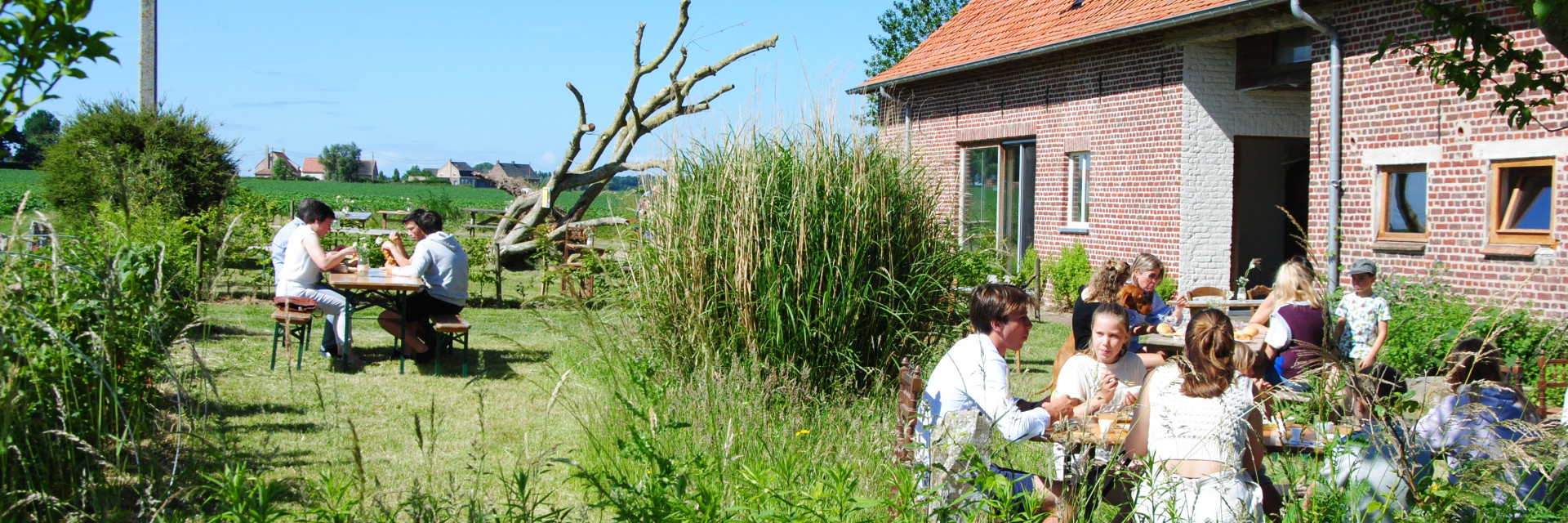 Sfeerbeeld boerderij