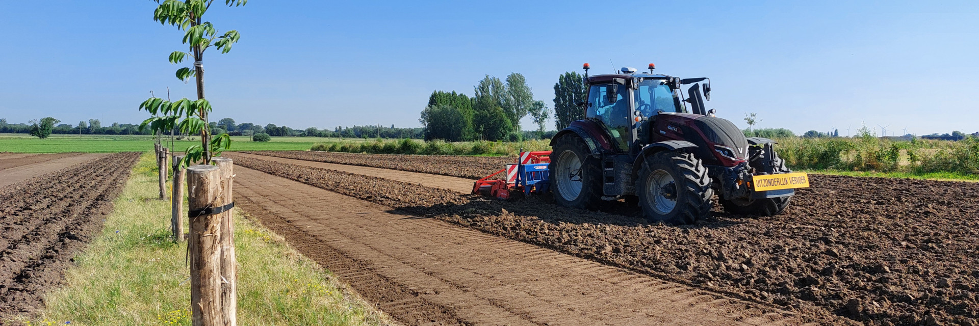 Klaarleggen van een agroforestryperceel voor de teelt van prei