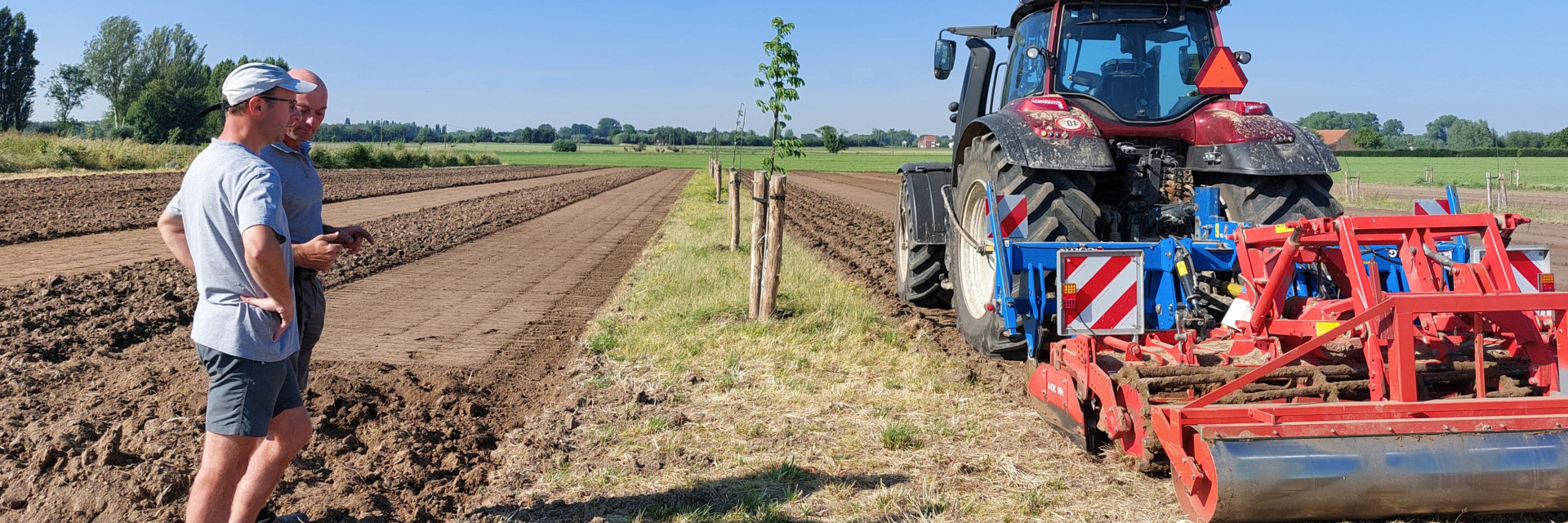 Klaarleggen van een agroforestryperceel voor de teelt van prei