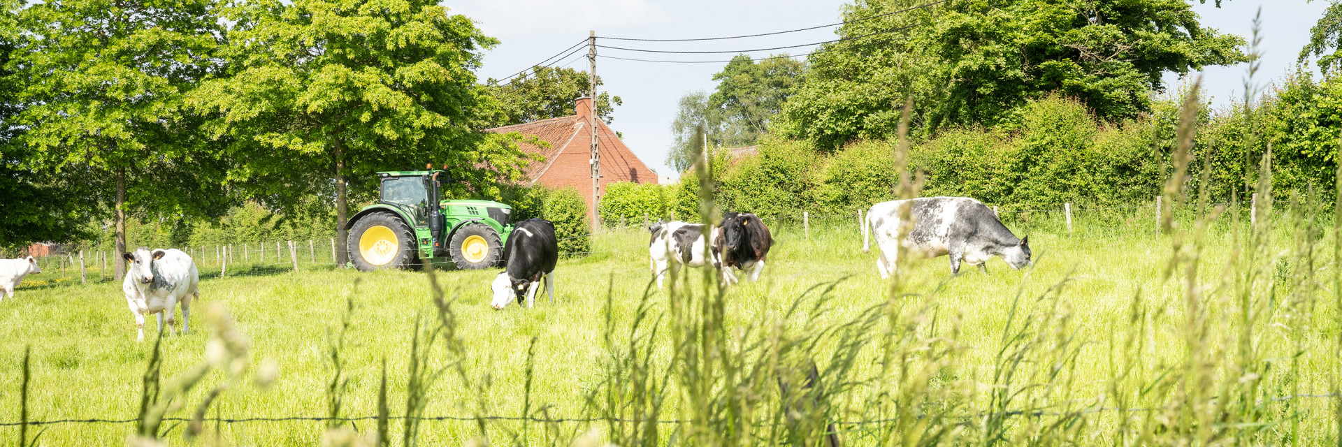 Sfeerfoto landschappelijke integratie