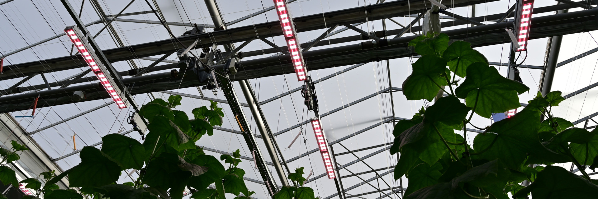lampen Agrotopia