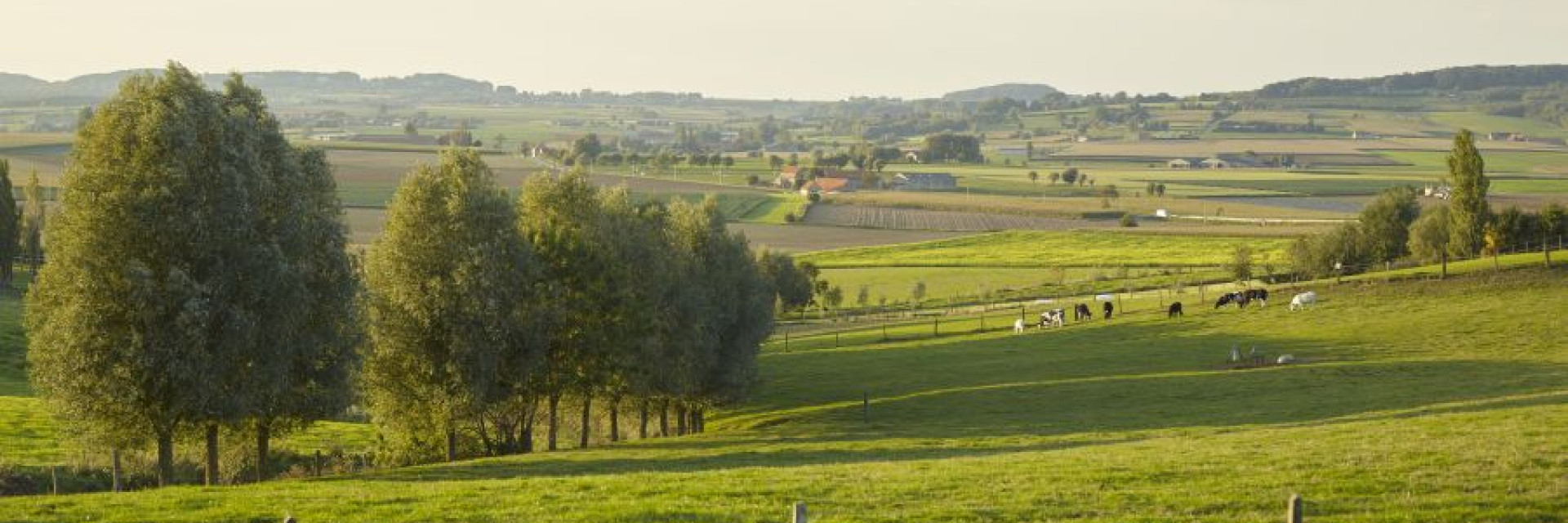 Projectpagina Vensters op het landschap