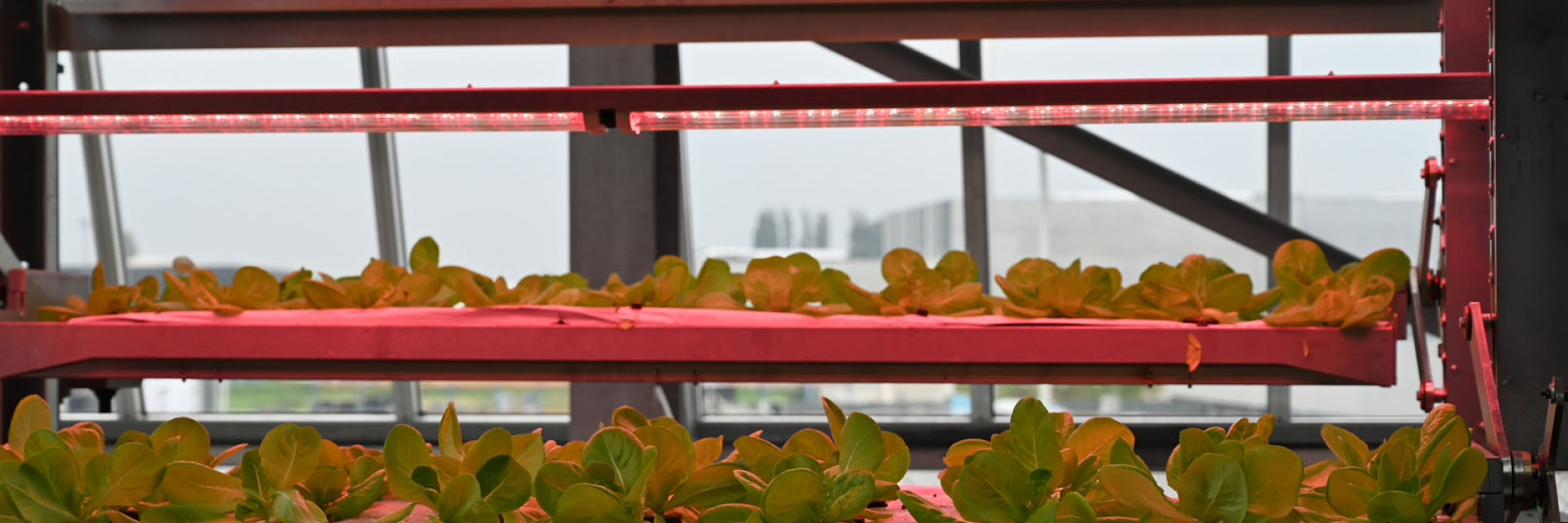 verticalfarmingtoren