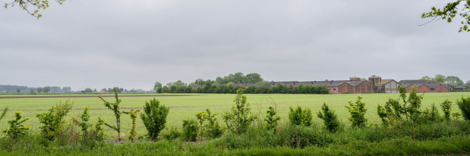 Landbouwbedrijf in landschap