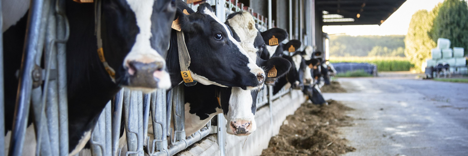 AgriClimate banner