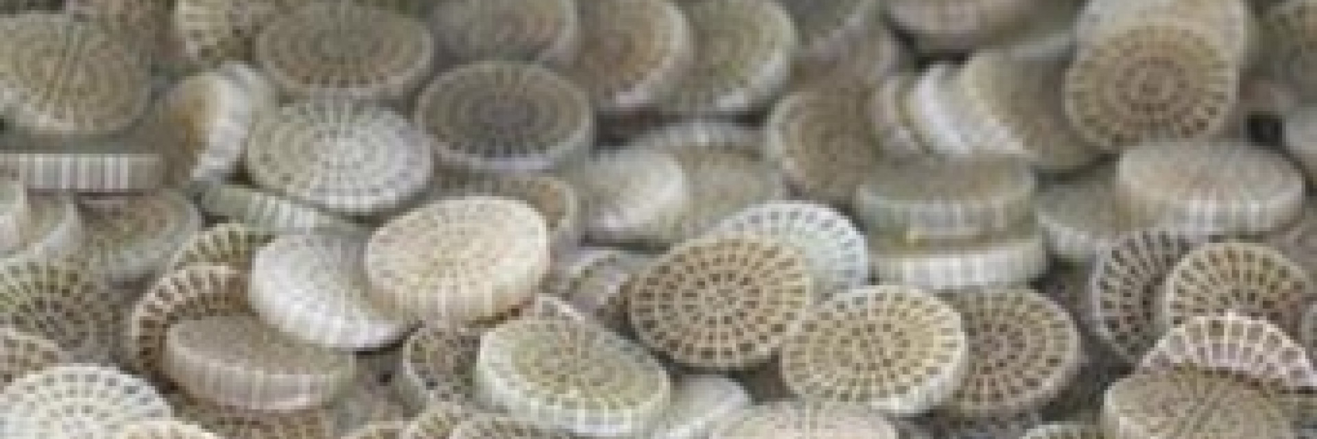 Dragermateriaal