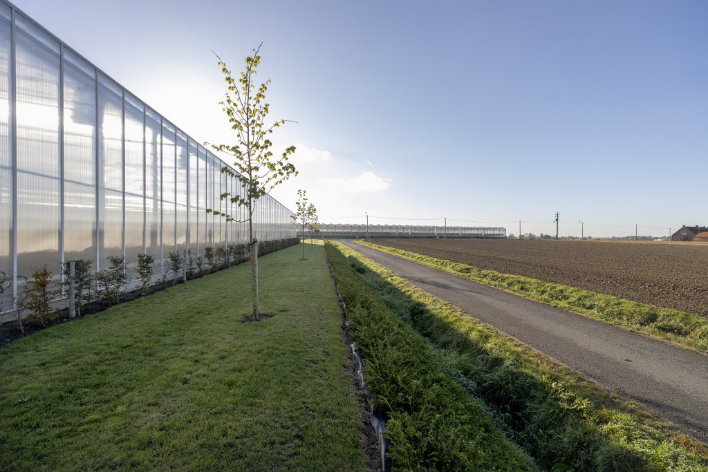 Glastuinbouw-16.jpg