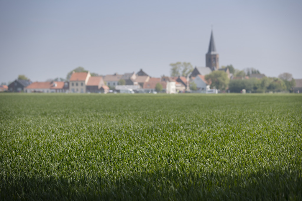 Sfeerbeeld landbouw west-vlaanderen