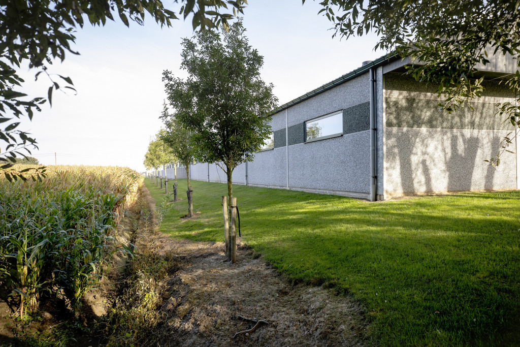 Beplanting naast stal