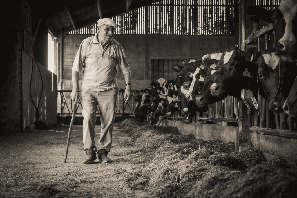 Winnende foto Ilse Louwagie
