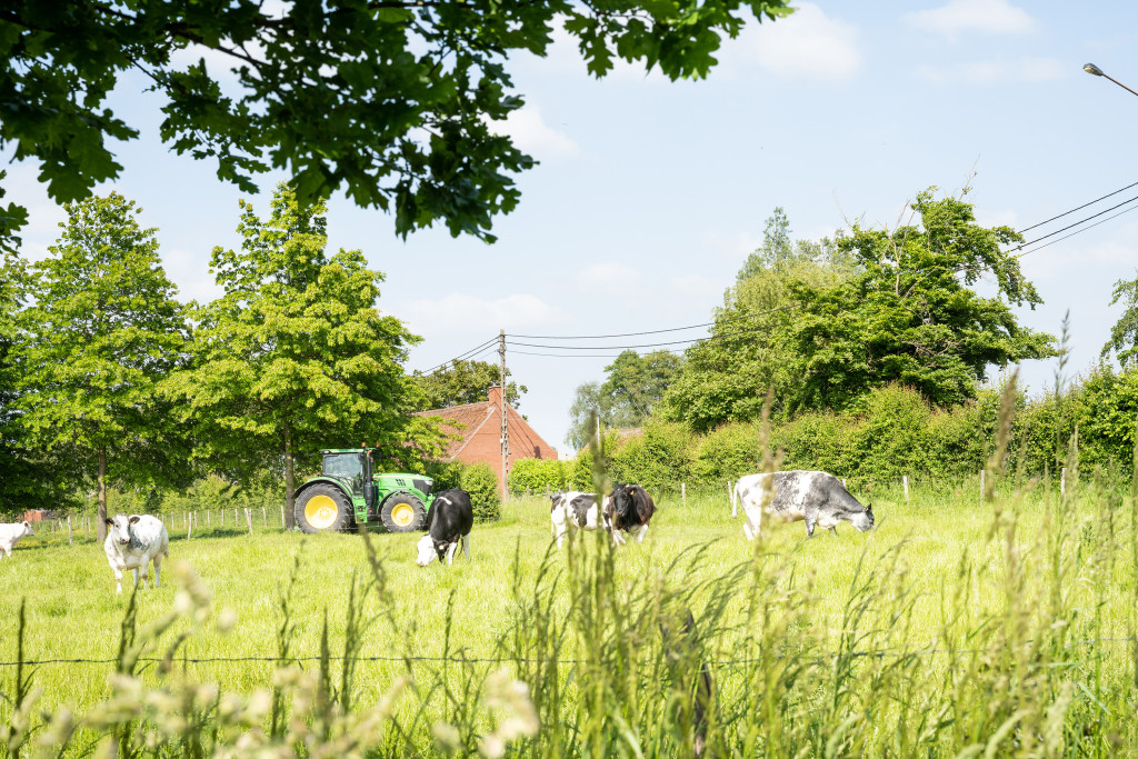 Sfeerfoto landschappelijke integratie