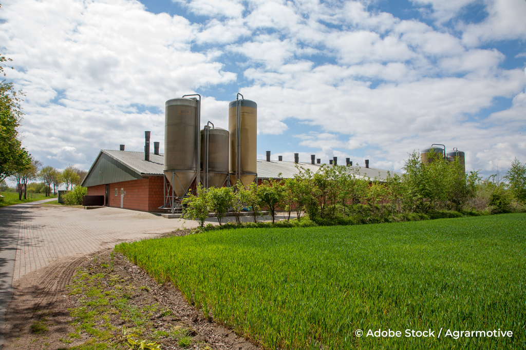 Stal_varkens_AdobeStock_259610333_credit_agrarmotive_compr.png