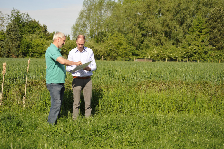 Advies op proefveld