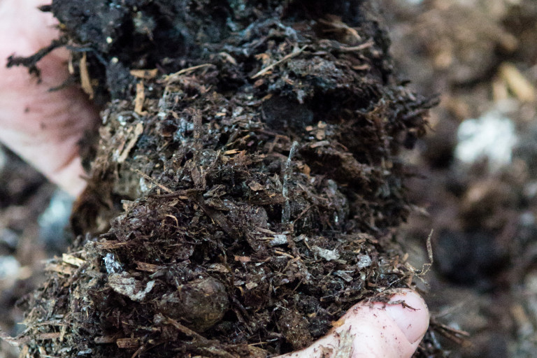 Compost
