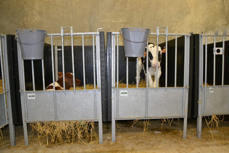 Individuele huisvesting kalveren