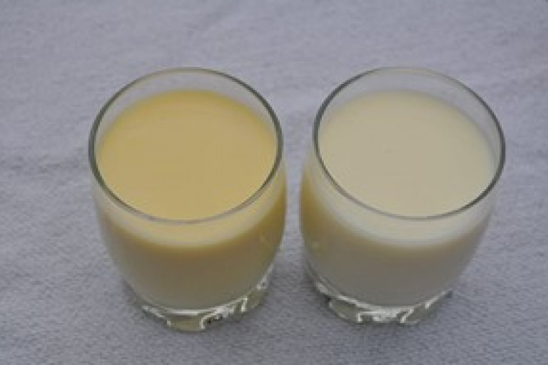 Foto twee soorten biest