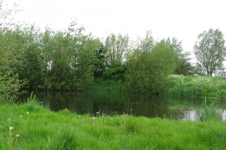 Waterput in natuurlijke omgeving