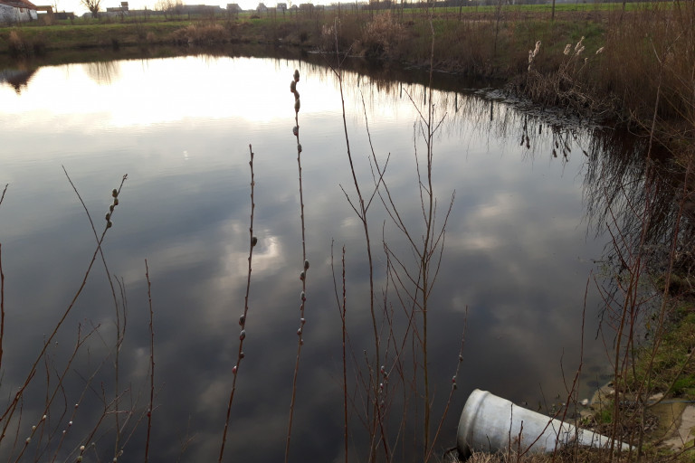 Open waterput in verbinding met de waterloop