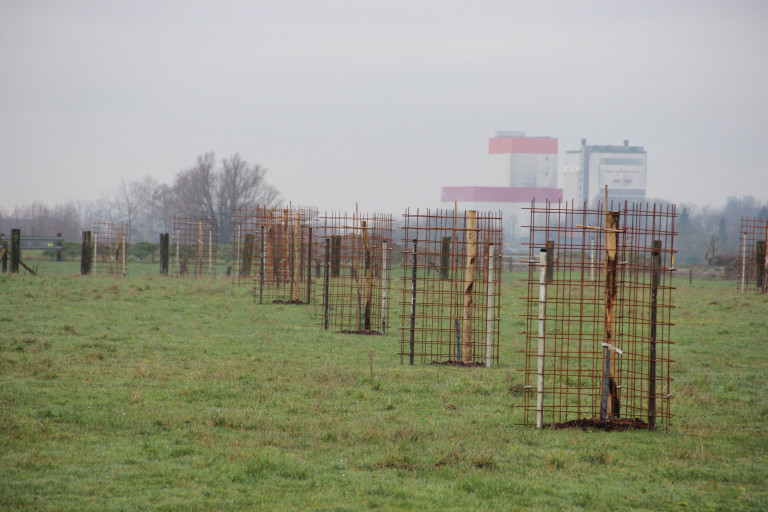 Aanplanten met de nodige zorg