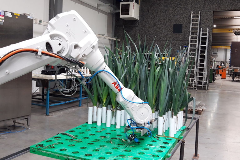 Automatisatie prei op dragers