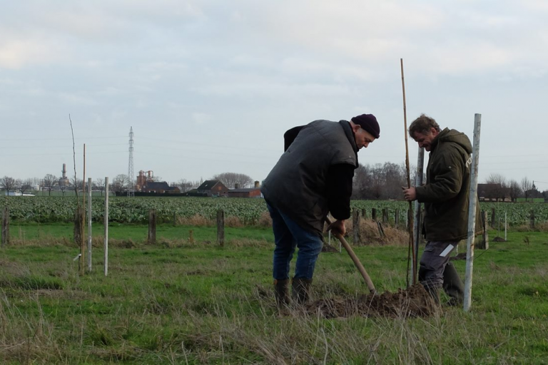 Aanplanten met de nodige zorg