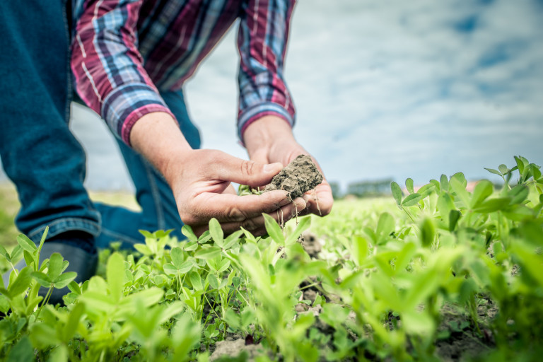 Carbon Farming themabeeld